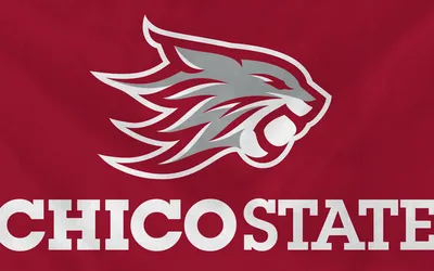 Chico city flag 