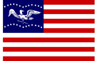 Fremont city flag 