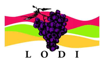 Lodi city flag 