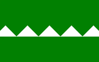 Salinas city flag 