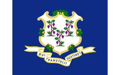Connecticut state flag 