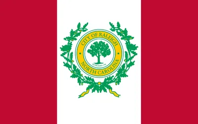Raleigh city flag 