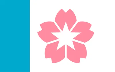 Salem city flag 