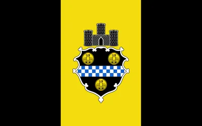Pittsburgh city flag 