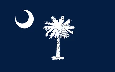 Greenville city flag 