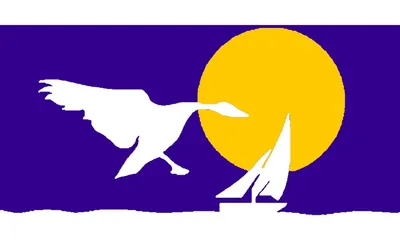 Hendersonville city flag 
