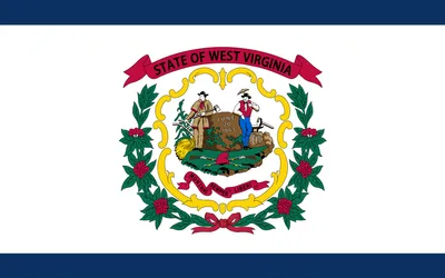 Charleston city flag 