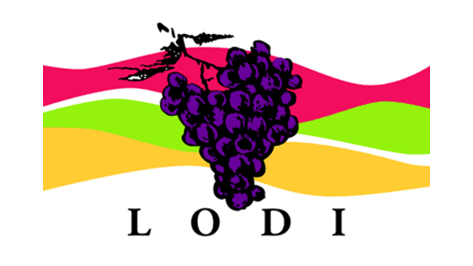 Lodi