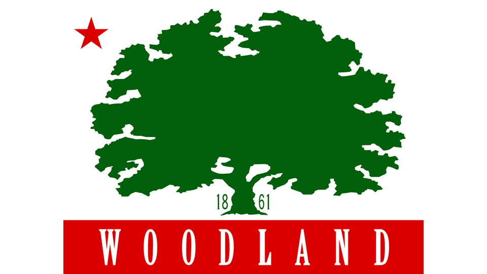 Woodland